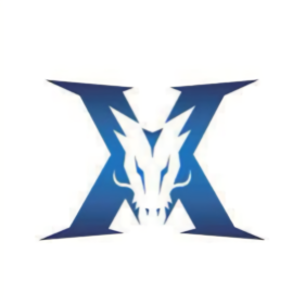 的瑞士轮制 的瑞士轮制